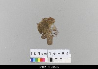 中國北京皮影藏品圖，第2張